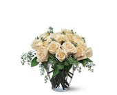 White Roses, picture