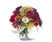 Joyful and Thrilling, picture