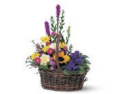 Basket of Glory, picture