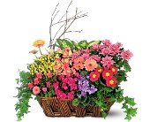 Deluxe European Garden Basket in Chicago Ridge IL, James Saunoris & Sons