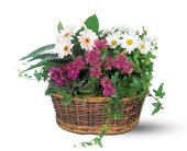 Traditional European Garden Basket in Chicago Ridge IL, James Saunoris & Sons
