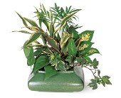 Small Garden Dish in Chicago Ridge IL, James Saunoris & Sons