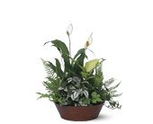 White Garden in Chicago Ridge�IL, James Saunoris & Sons