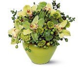 Shades of Green in Chicago Ridge�IL, James Saunoris & Sons