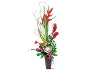 Tropical Beauty in Chicago Ridge�IL, James Saunoris & Sons