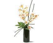 Artful Orchids in Chicago Ridge�IL, James Saunoris & Sons