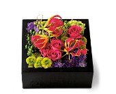 Pav� Texture Square in Chicago Ridge�IL, James Saunoris & Sons