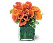 Bronze Callas in Chicago Ridge�IL, James Saunoris & Sons