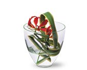 Gloriosa Under Glass in Chicago Ridge�IL, James Saunoris & Sons
