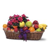 Plant and Fruit Basket, picture