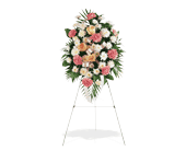 Gentle Thoughts Spray, picture