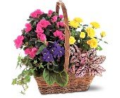 Blooming Garden Basket in Chicago Ridge IL, James Saunoris & Sons