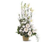 White Impressions, picture