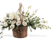 Basket of Light, picture