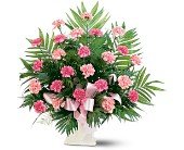 Classic Carnation Arrangement in Chicago Ridge IL, James Saunoris & Sons