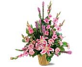 Triumphant Triangle in Chicago Ridge IL, James Saunoris & Sons