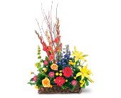 Sunshine Basket in Chicago Ridge IL, James Saunoris & Sons