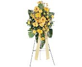 Brighter Blessings Spray in Chicago Ridge IL, James Saunoris & Sons