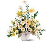 Drop of Sunshine Basket in Chicago Ridge IL, James Saunoris & Sons