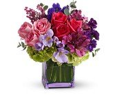Exquisite Beauty by Teleflora in Chicago Ridge IL James Saunoris & Sons
