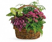 Secret Garden Basket in Chicago Ridge IL James Saunoris & Sons