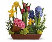 Spring Favorites in Chicago Ridge IL James Saunoris & Sons