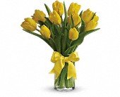 Sunny Yellow Tulips in Chicago Ridge IL James Saunoris & Sons