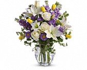 Spring Waltz in Chicago Ridge IL, James Saunoris & Sons