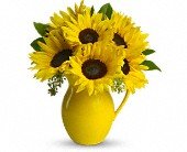 Teleflora's Sunny Day Pitcher of Sunflowers in Chicago Ridge IL James Saunoris & Sons