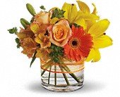 Sunny Siesta in Chicago Ridge IL James Saunoris & Sons