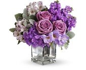 Sweet as Sugar by Teleflora in Chicago Ridge IL James Saunoris & Sons