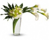 Moondance in Chicago Ridge, Illinois, James Saunoris & Sons