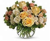 This Magic Moment in Chicago Ridge IL James Saunoris & Sons