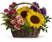 Picnic in the Park in Chicago Ridge IL James Saunoris & Sons