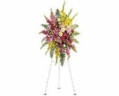 Rays of Light Spray in Chicago Ridge IL James Saunoris & Sons