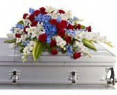 Distinguished Service Casket Spray in Chicago Ridge IL James Saunoris & Sons