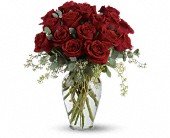 Full Heart - 16 Premium Red Roses in Chicago Ridge IL James Saunoris & Sons