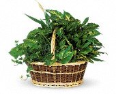 Large Basket Garden in Chicago Ridge IL James Saunoris & Sons