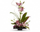Imagination Blooms with Cymbidium Orchids in Chicago Ridge IL James Saunoris & Sons