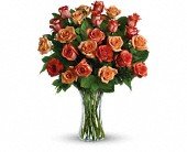 Sunrise Splendor in Chicago Ridge IL James Saunoris & Sons