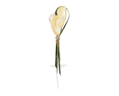 White Freesia Boutonniere in Chicago Ridge IL, James Saunoris & Sons