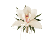 Cymbidium Orchid Corsage in Chicago Ridge IL, James Saunoris & Sons