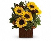 You're Golden Bouquet by Teleflora in Chicago Ridge IL James Saunoris & Sons