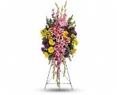 Rainbow Of Remembrance Spray in Chicago Ridge, Illinois, James Saunoris & Sons