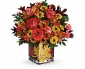 Teleflora's Roses And Maples Bouquet in Chicago Ridge IL James Saunoris & Sons