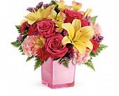 Teleflora's Pop Of Fun Bouquet in Chicago Ridge IL James Saunoris & Sons