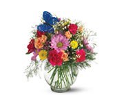 Teleflora's Butterfly & Blossoms Vase, picture