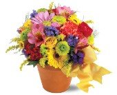 Teleflora's Fresh Blossom Potpourri in Chicago Ridge�IL, James Saunoris & Sons