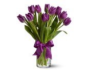 Teleflora's Passionate Purple Tulips in Chicago Ridge IL, James Saunoris & Sons