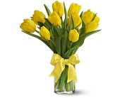 Teleflora's Sunny Yellow Tulips in Chicago Ridge IL, James Saunoris & Sons